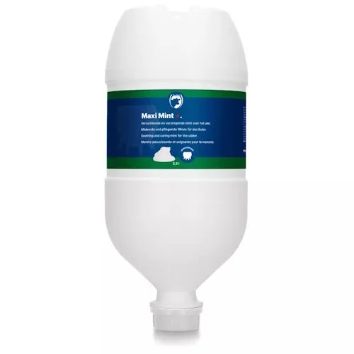 Excellent Maxi Mint+ Hangtube 2,5 L