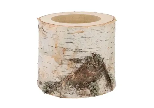 Junai.nl Nature Berkenhouten Pot Ø13-15 cm x 11 cm