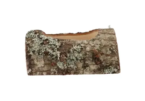 Junai.nl Nature Oak Planter eikenhouten plantenhouder