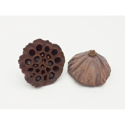 Junai.nl Lotus Pod klein – 6 cm doorsnede