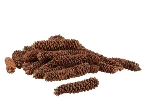 Junai.nl Nature Grated Spar - Dennenappel per stuk