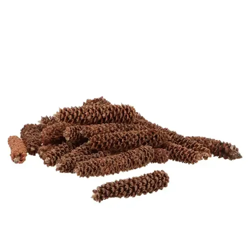 Junai.nl Nature Grated Spar - Dennenappel per stuk