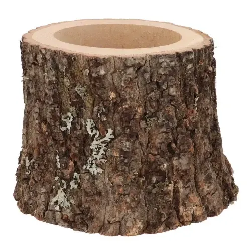 Junai.nl Nature Oak Pot D16–19cm x 15cm - eikenhouten plantenhouder