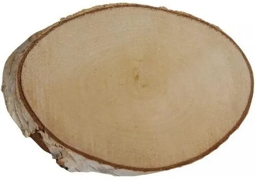 Junai.nl Berkenschijf ovaal - 19 tot 25 cm