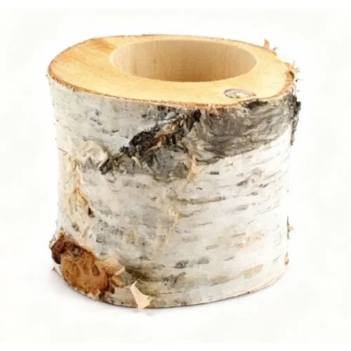 Junai.nl Nature Berkenhouten Schors Pot Ø10 cm x 10 cm – natuurlijke plantenhouder