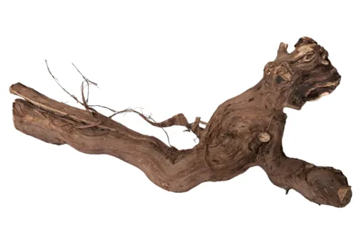 Junai.nl Druivenstronk - 40 cm