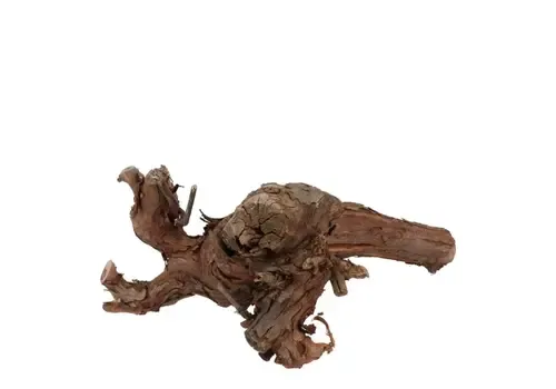 Junai.nl Druivenhout - 20 cm