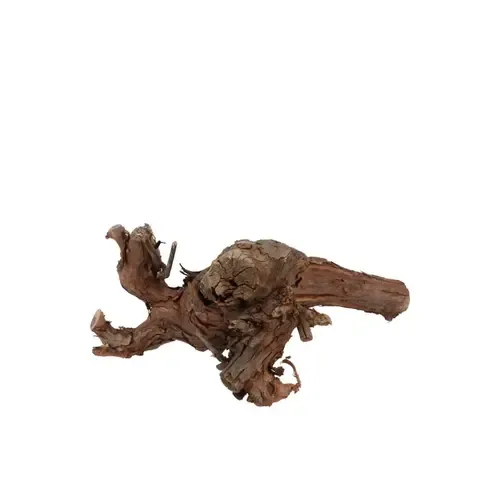 Junai.nl Druivenhout - 20 cm