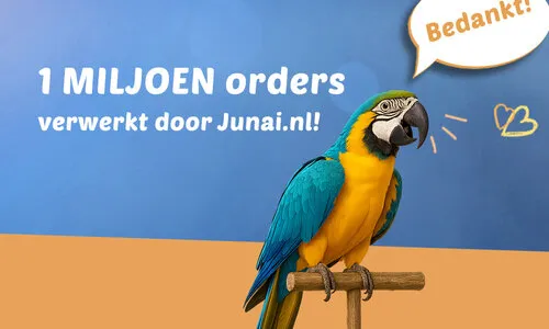 Junai.nl viert 1 miljoen orders: een terugblik, een feest en de toekomst!