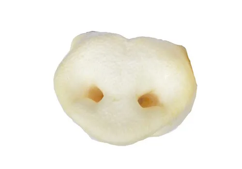 Zoolekker Honingneusjes bulk