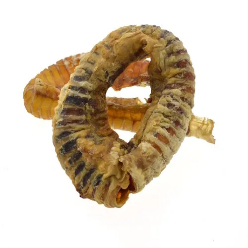 Zoolekker Runderluchtpijp gebogen bulk