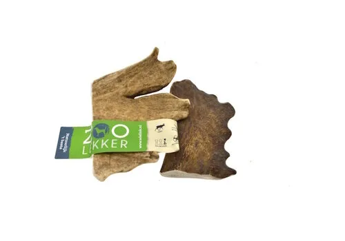 Zoolekker Damhert Gewei - Medium en Large