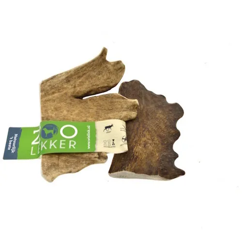 Zoolekker Damhert Gewei - Medium en Large