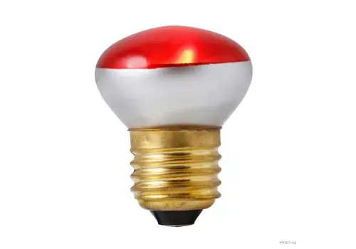 Exo Terra Infrarood warmtelamp nano 25 Watt