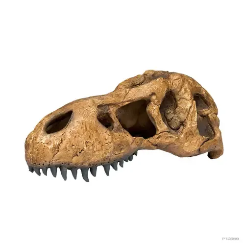 Exo Terra T-Rex Skull fossiele schuilplaats