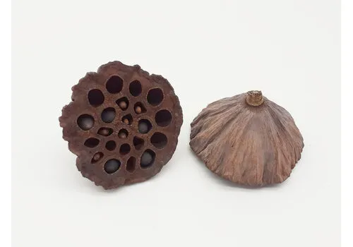 Junai.nl Lotus Pod mini