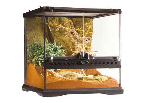 Exo Terra Glas Terrarium met achterwand 30 x 30 x 30 cm