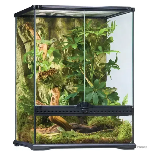 Exo Terra EX Paludarium Zwart | 45 x 45 x 60CM