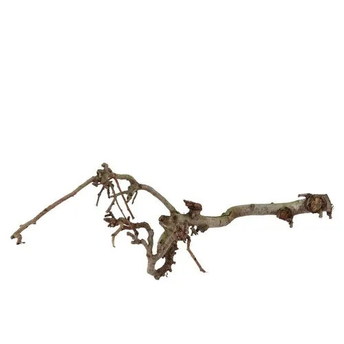 JUNAVERA Perenhout tak voor terrariumdecoratie
