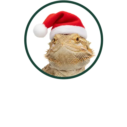 Reptielen, Amfibieën en Plantterraria