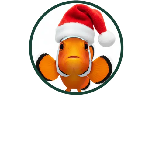 Aquarium & Aquascaping