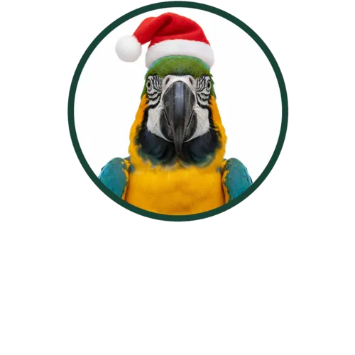 Duiven, kooi- en volière Vogels