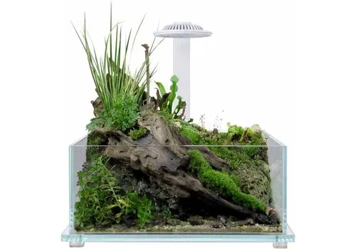 Wabi Kusa Bio Tank White| 32 x 20 x 14CM