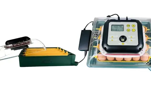 Broedmachine 24 eieren met automatische kering