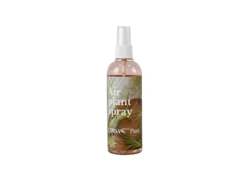JUNAVERA Tillandsia luchtplant verzorgingsspray