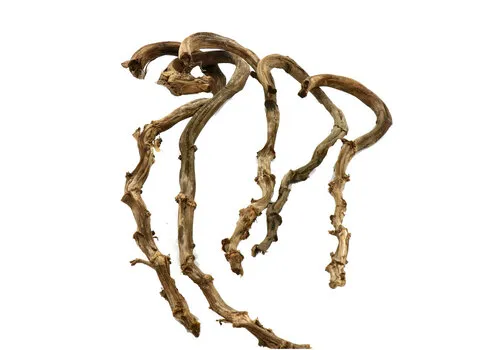 Junai.nl Gedroogde Banana stick terrariumdecoratie