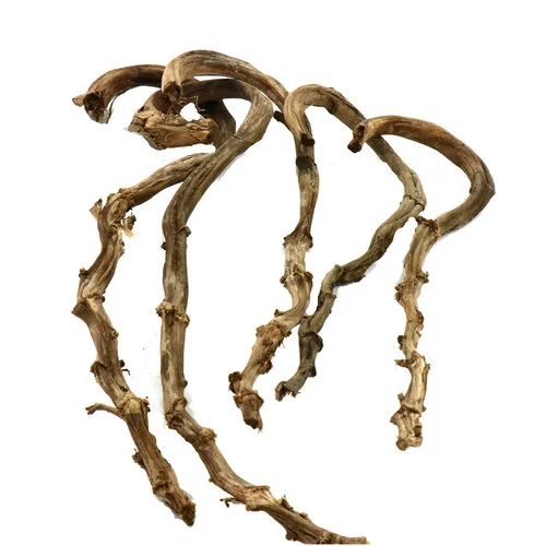 Junai.nl Gedroogde Banana stick terrariumdecoratie