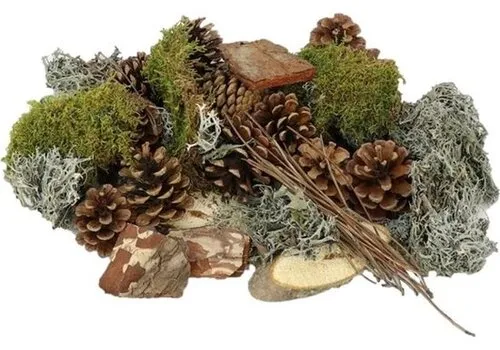 Junai.nl Forest Mix XL mos en dennenappels