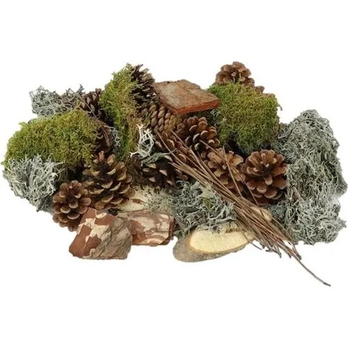 Junai.nl Forest Mix XL mos en dennenappels