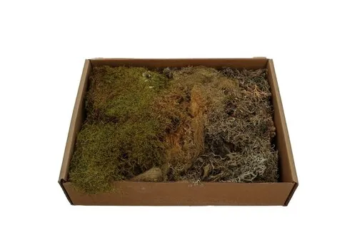 Junai.nl Mos mix droog 650 gram voor terrarium decoratie