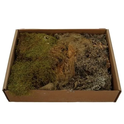 Junai.nl Mos mix droog 650 gram voor terrarium decoratie