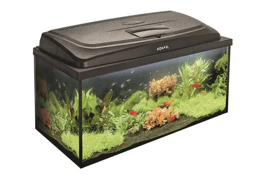 Aquael Classic Box 80 Straight Dag & Nacht | 112L | 80 x 35 x 40CM