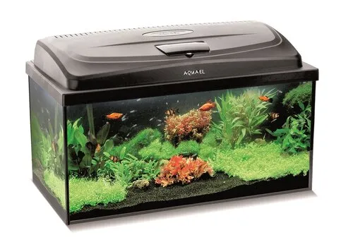 Aquael Classic Box 60 Straight Dag & Nacht | 54L | 60 x 30 x 30CM