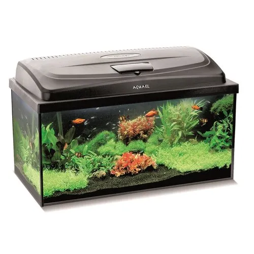 Aquael Classic Box 60 Straight Dag & Nacht | 54L | 60 x 30 x 30CM