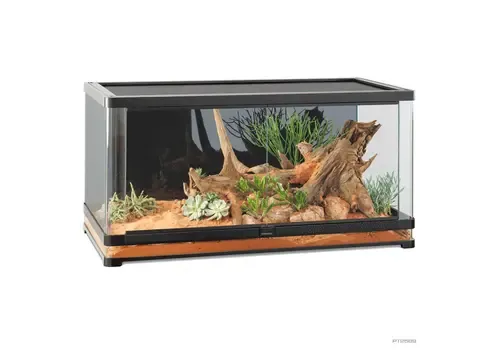 Exo Terra Vista Panoramic Terrarium | 120 x 60 x 60CM