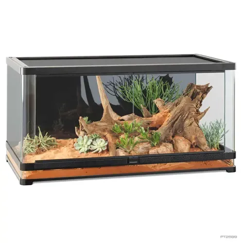 Exo Terra Vista Panoramic Terrarium | 120 x 60 x 60CM