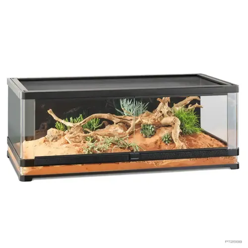 Exo Terra Vista Panoramic Terrarium | 120 x 60 x 45CM