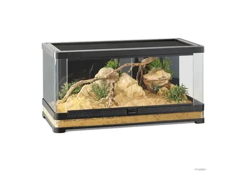 Exo Terra Vista Panoramic Terrarium | 90 x 45 x 45CM