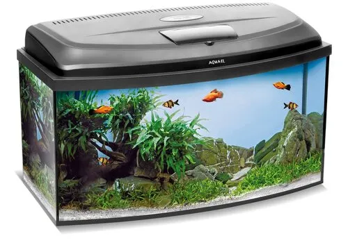 Aquael Aqua4Family 80 Oval Dag & Nacht | 102L | 80 x 35 x 40CM