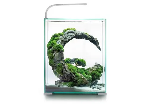 Aquael Shrimp Set Dag & Nacht 30 | 29L | 29 x 29 x 35CM