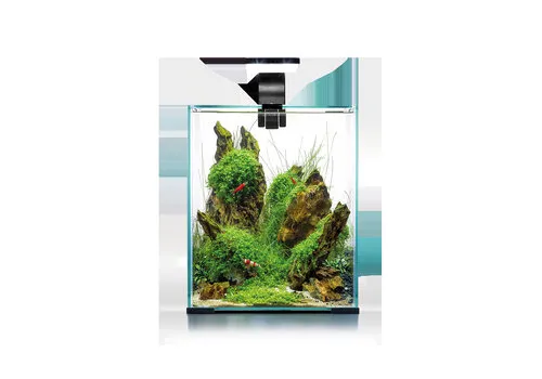 Aquael Shrimp Set Dag & Nacht 20 | 19L | 25 x 25 x 30CM