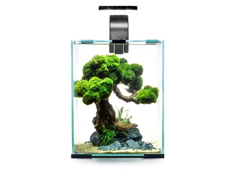 Aquael Shrimp Set Dag & Nacht 10 | 10L | 20 x 20 x 25CM