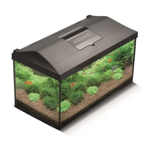 Aquael Aquarium Leddy 60 Dag & Nacht Biofs 2.0 | 54L | 60 x 30 x 30CM