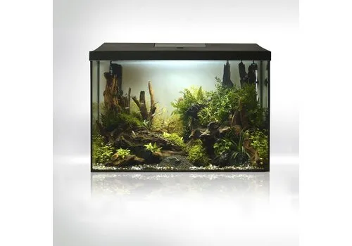 Aquael Leddy 40 XL Dag & Nacht 2.0 | 35L | 41 x 25 x 35CM