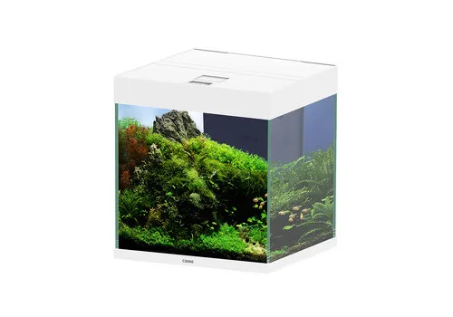 Ciano Emotions pro 40 | 52L | 39,8x39,8x43CM Wit