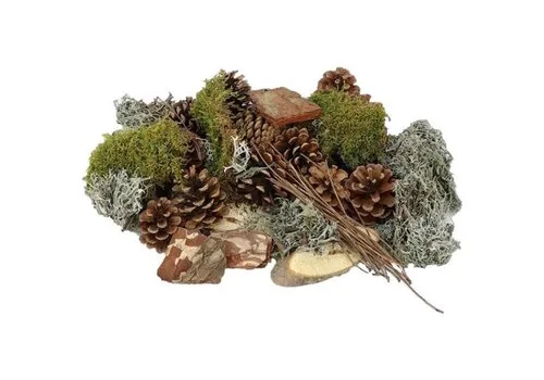 Junai.nl Forest Mix XL mos en dennenappels